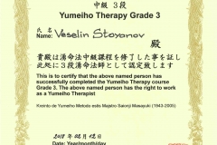 Yumeiho diploma